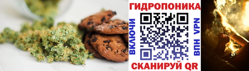 Canna-Cookies марихуана  Тогучин 